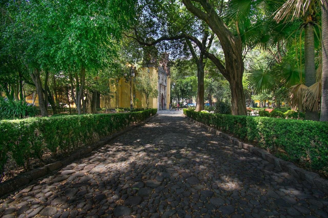 Fl 59 Coyoacan At Your Doorstep! Leilighet Mexico by Eksteriør bilde