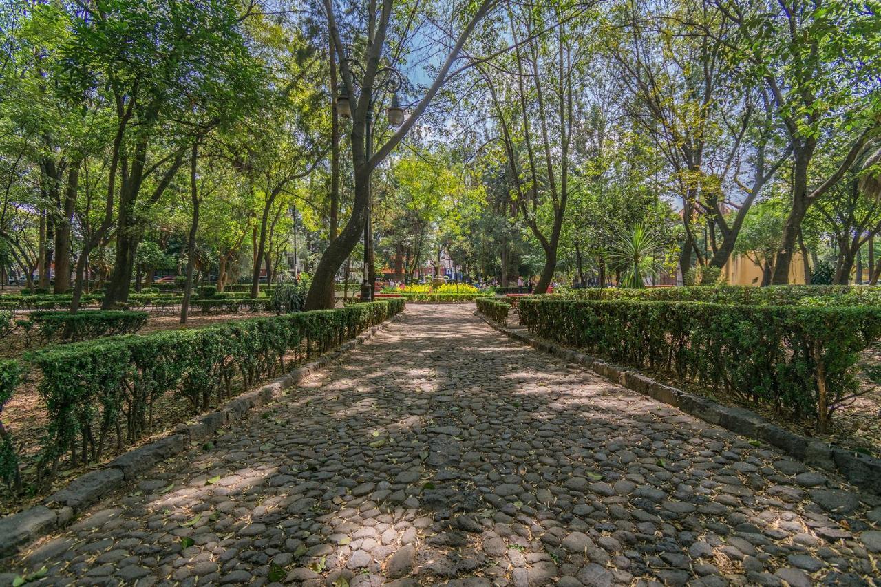 Fl 59 Coyoacan At Your Doorstep! Leilighet Mexico by Eksteriør bilde